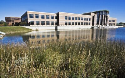 Pest Inspections and Treatments in Government Offices