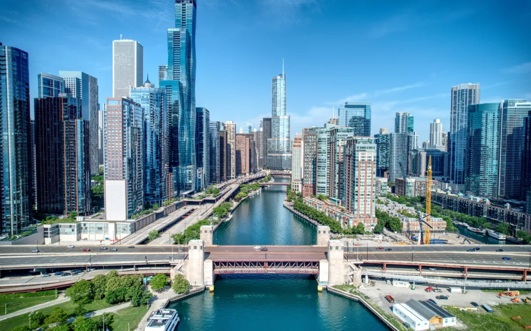 Chicago Insect Invaders