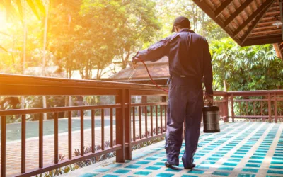 Pest Control Before the Rainy Season