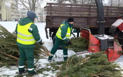 Don’t Skip Pest Control in Winter