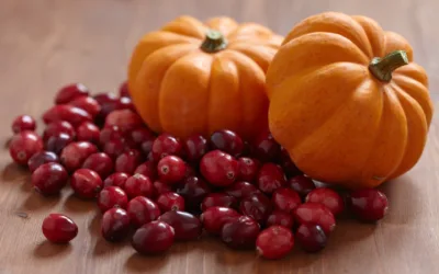 Protecting Against Pumpkin Pests