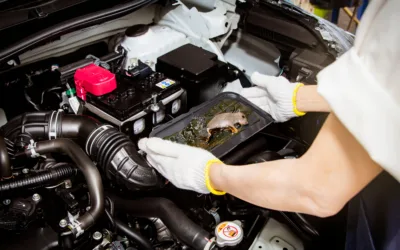 Getting Rid of Rodents in Your Vehicle
